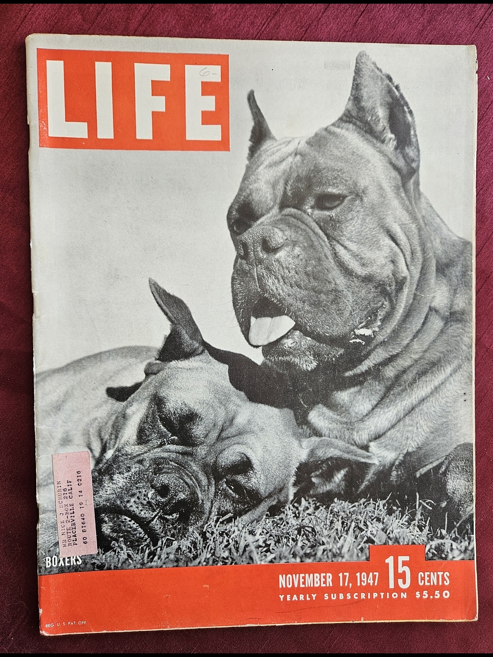Magazine Cover – Red Accent
